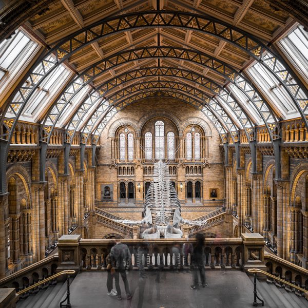 Natural History Museum